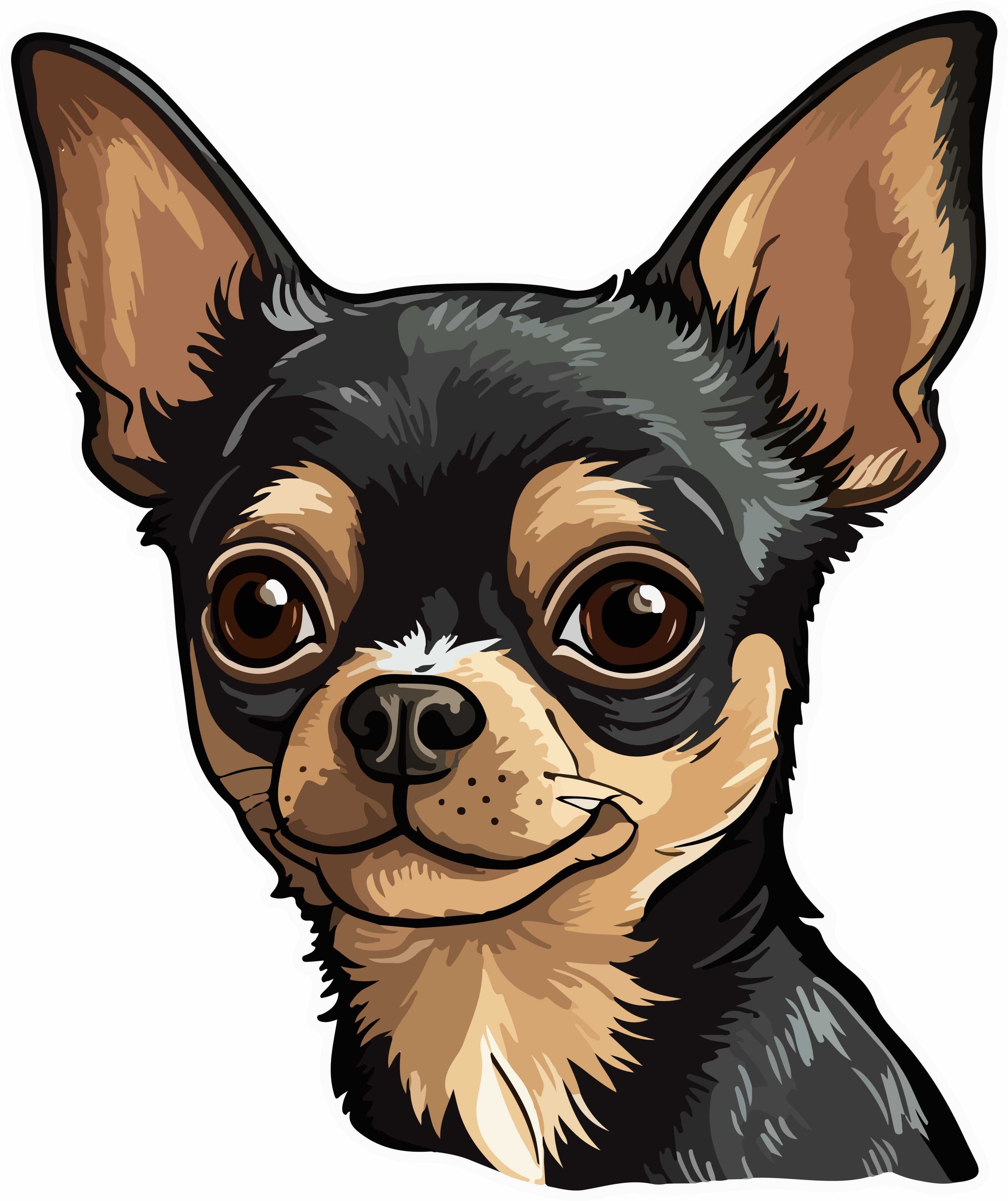 Chihuahua