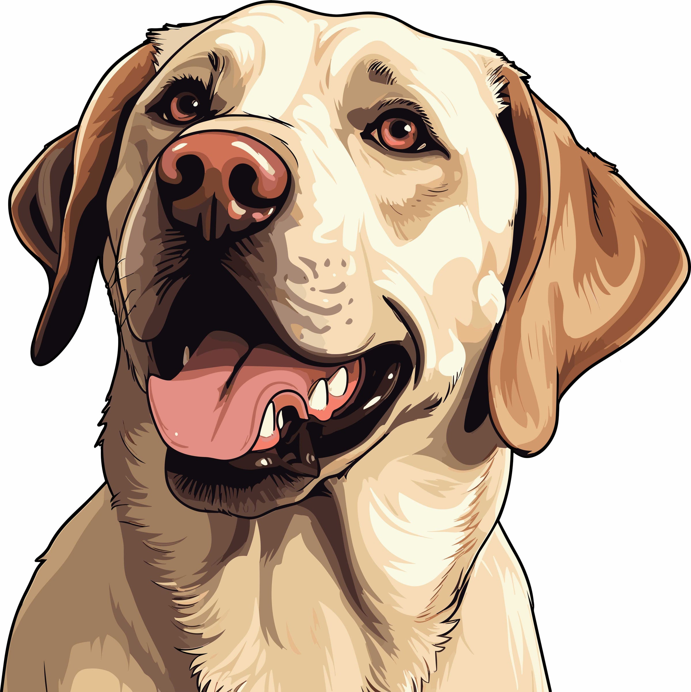 Labrador