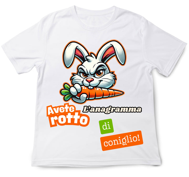 T-shirt Uomo ANAGRAMMA ( AN0945234 )