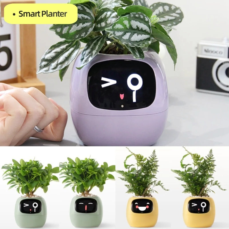 Smart Planter Divertimento senza fine Oltre 49 ricche espressioni 7 sensori intelligenti e chip AI rendono la coltivazione delle piante facile e divertente