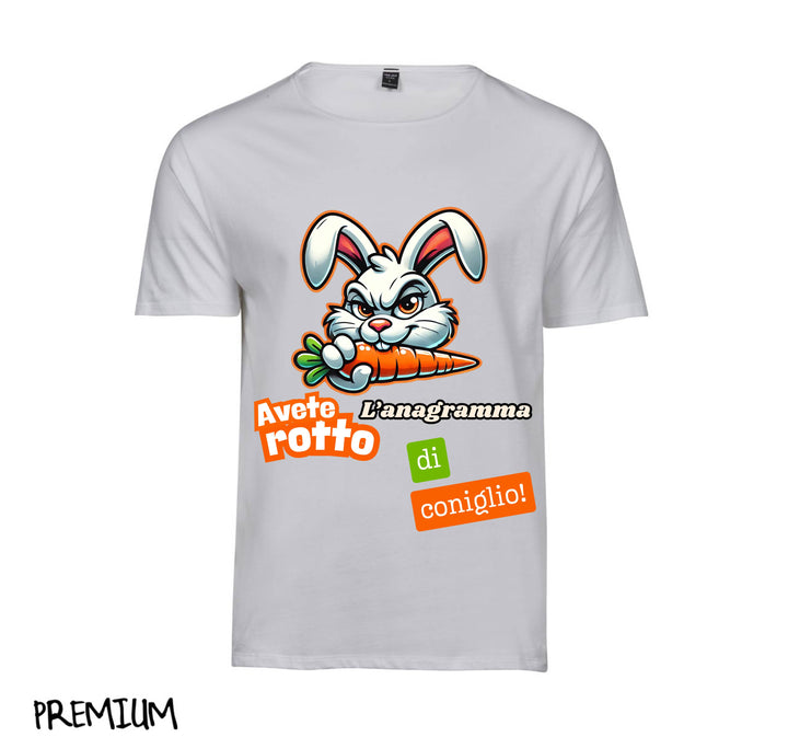 T-shirt Uomo ANAGRAMMA ( AN0945234 )