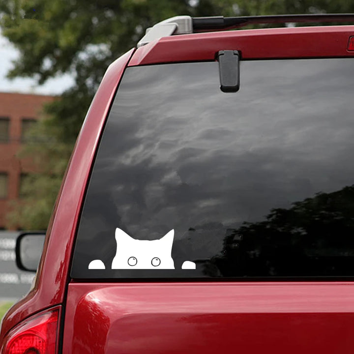 CK2800# 24*9cm Cat peeping funny car sticker vinyl decal white/black car auto stickers for car bumper window car decorations - Gufetto Brand 