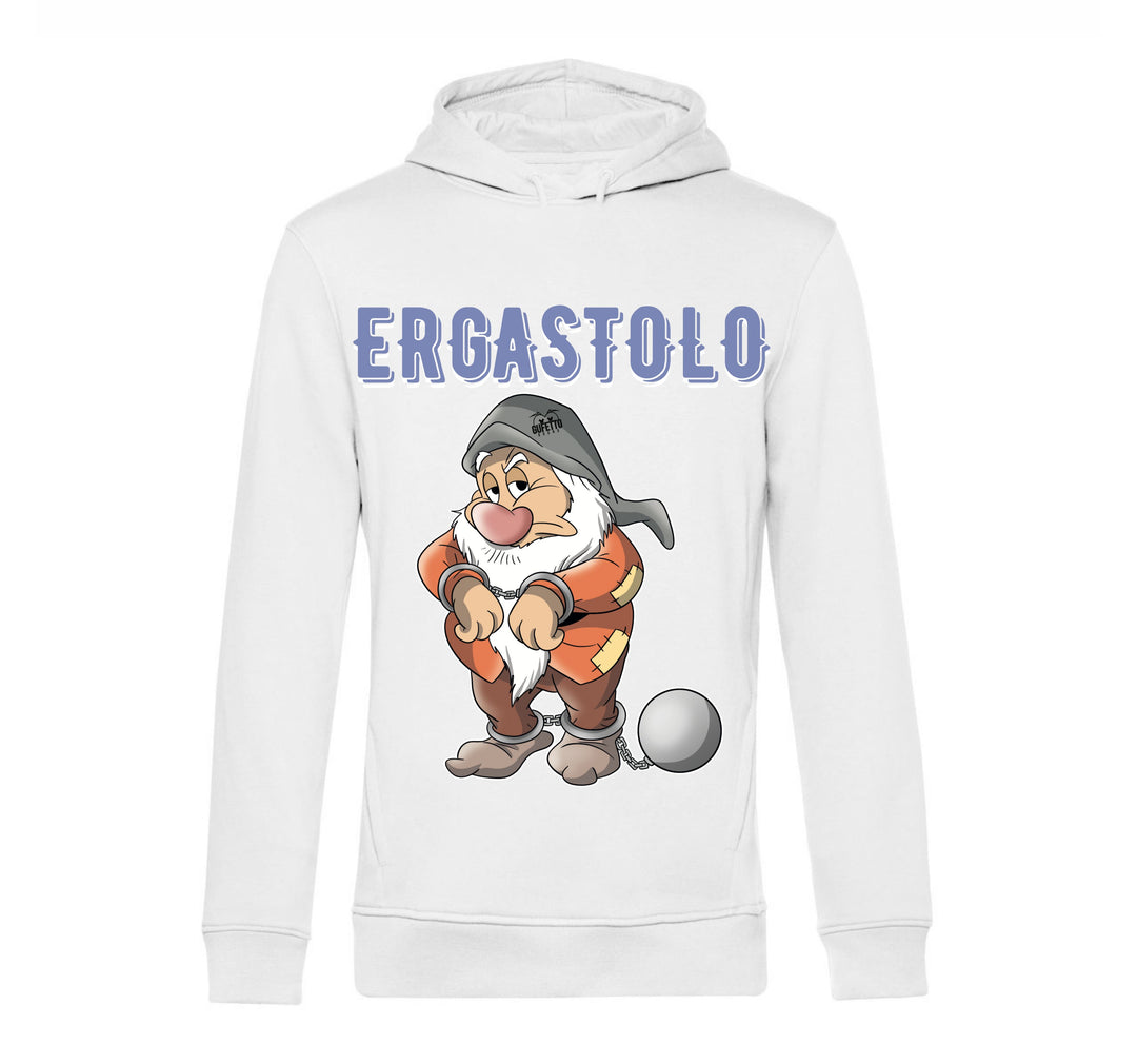 Felpa uomo ERGASTOLO ( E4509284 ) - Gufetto Brand 