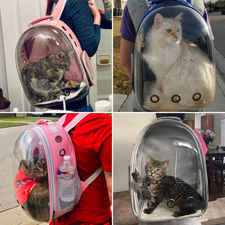 Borsa da trasporto per gatti Borsa a tracolla per animali domestici da esterno Borsa da viaggio portatile traspirante Borsa trasparente per cani di piccola taglia Gatti - Gufetto Brand 