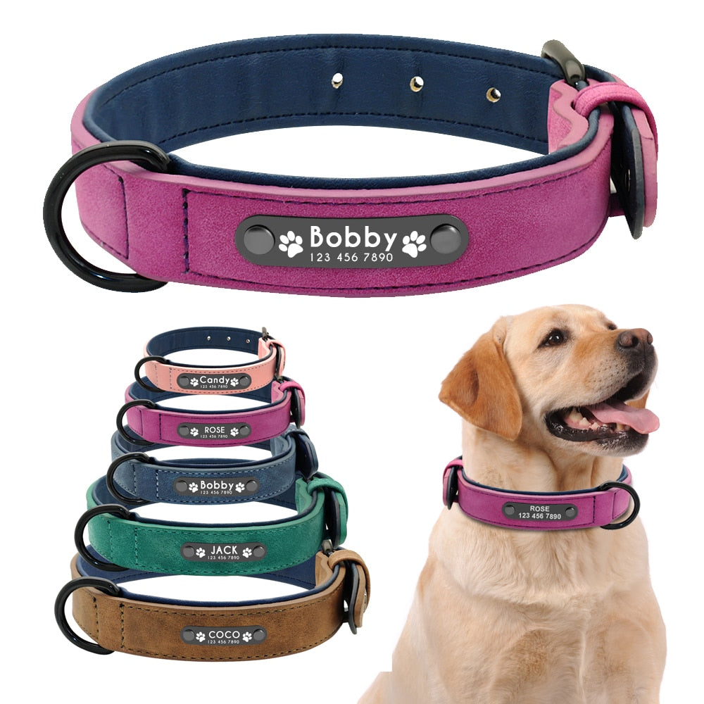 Collare per cani personalizzato Collari per cani in pelle personalizzati Collare interno imbottito per animali domestici per cani di piccola taglia media Pitbull Bulldog - Gufetto Brand 