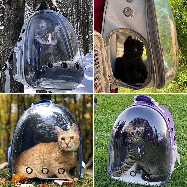 Borsa da trasporto per gatti Borsa a tracolla per animali domestici da esterno Borsa da viaggio portatile traspirante Borsa trasparente per cani di piccola taglia Gatti - Gufetto Brand 